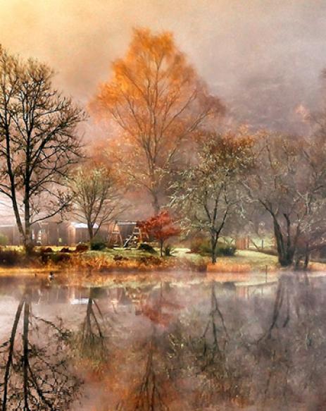 Nature Nature